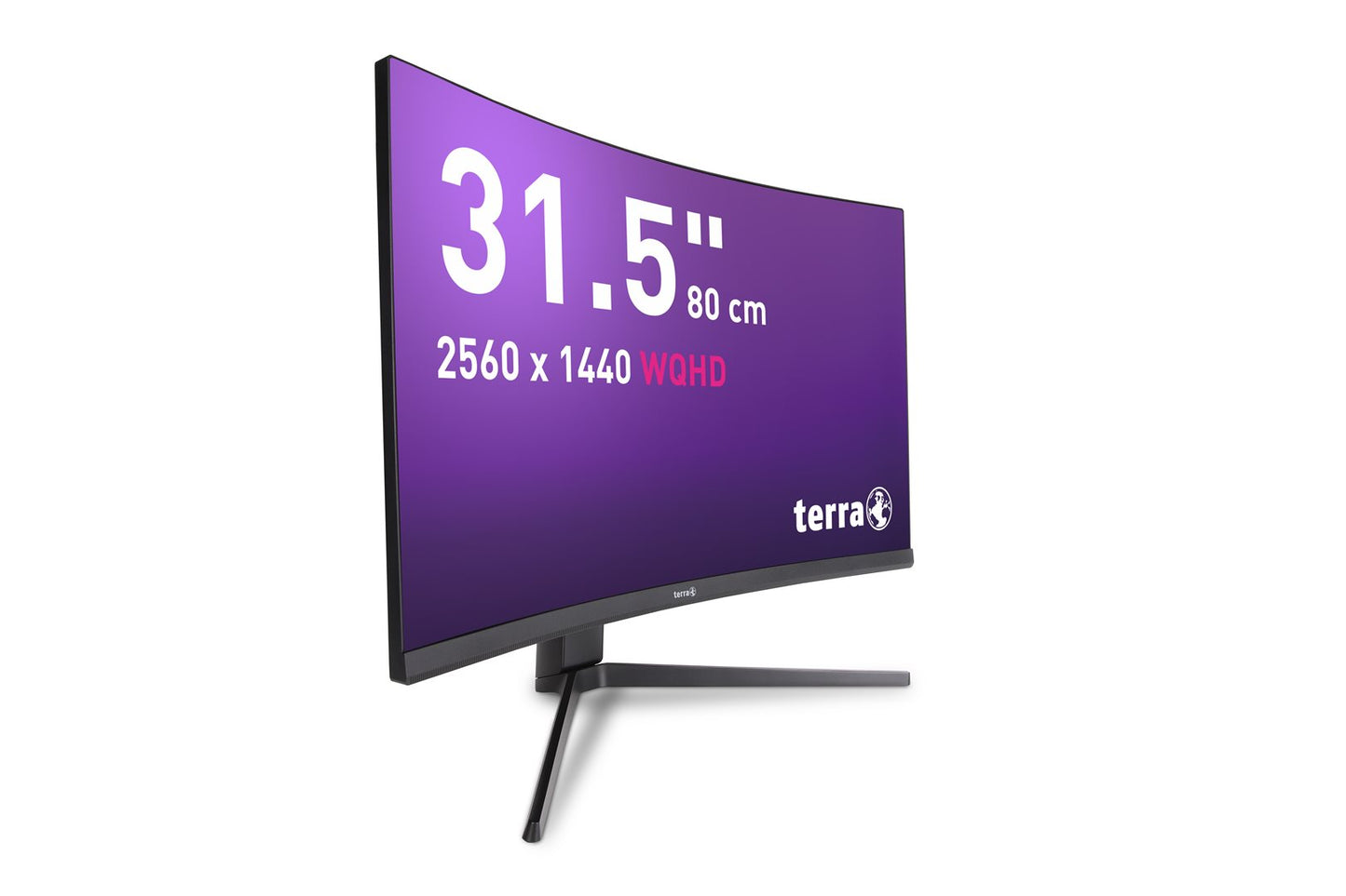 TERRA LCD/LED 3285W HA black CURVED USB-C/HDMI/DP