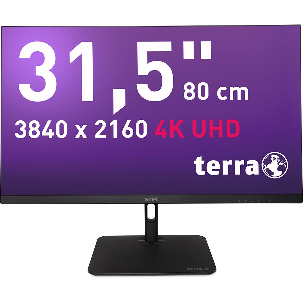 TERRA CLOUD LCD/LED 3295W PV 31.5" IPS 4K black  inkl. VOS [12M]