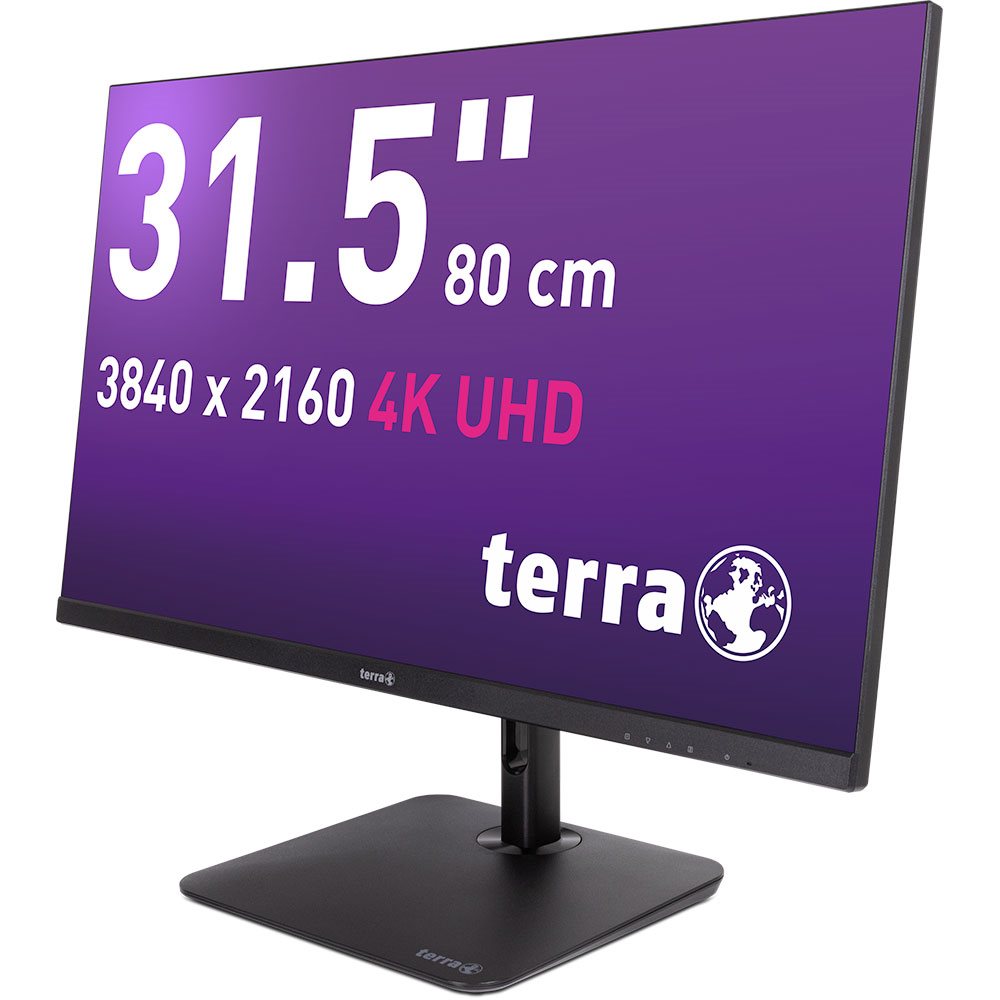 TERRA CLOUD LCD/LED 3295W PV 31.5" IPS 4K black  inkl. VOS [12M]