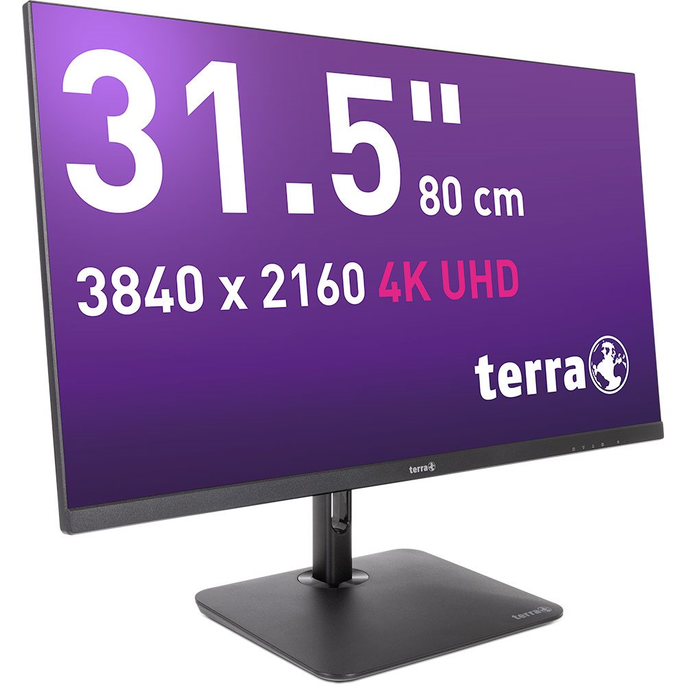 TERRA CLOUD LCD/LED 3295W PV 31.5" IPS 4K black  inkl. VOS [12M]